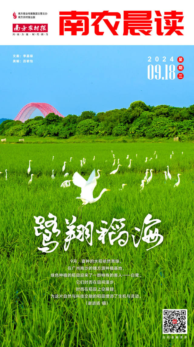 南方农村报 李嘉镓 制图