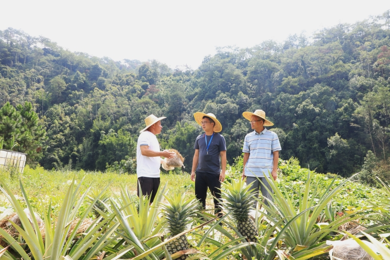 高要纪检监察干部到禄步镇双马生态农业种养基地开展监督检查。陆泉成 摄