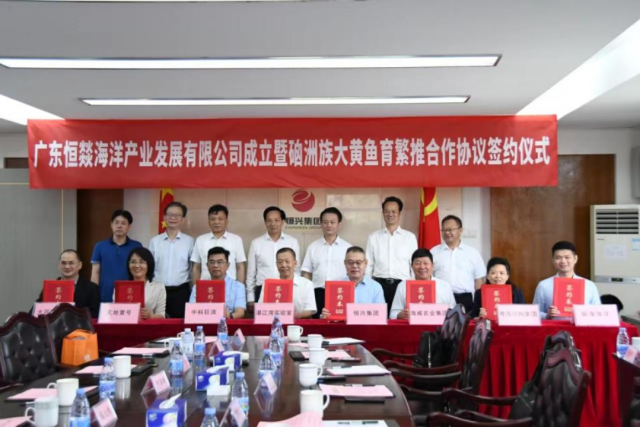 2023年5月10日，恒燚公司成立。