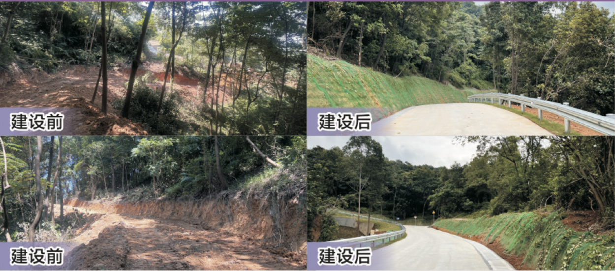 南蓬山登山步道建设前后对比图。 荷城供图