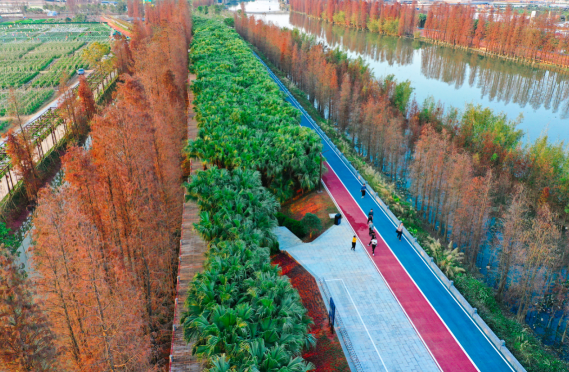 江门江海区:高颜值建设绿美碧带 高质量赋能乡村产业发展