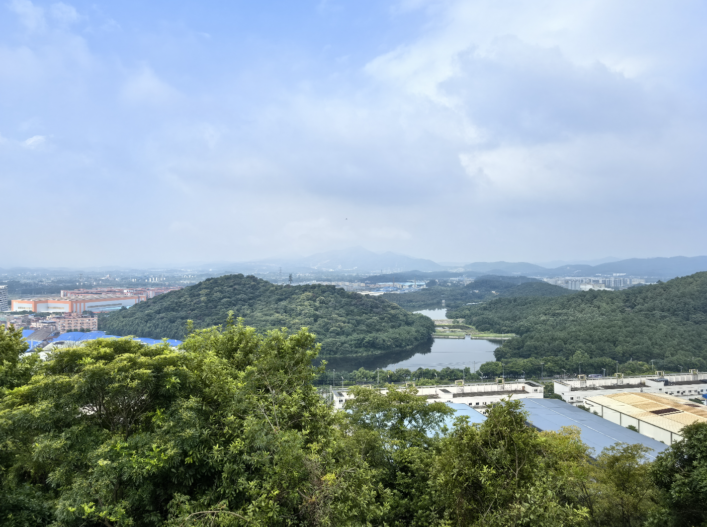 站在南蓬山公园观景平台上看到的风景。&nbsp; 朱苏娇 摄