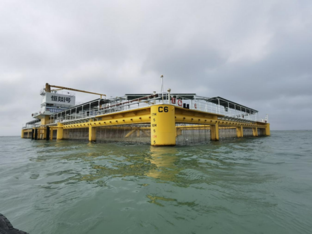 台风过后，“恒燚1号”经受住台风考验，完好如初，平台养殖的章红鱼、金鲳鱼生长情况正常。