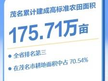 七成农田“高标准”，丰收有底气｜数说“丰”采