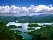 激发林业发展活力！珠海发布全面深化集体林权制度改革林长令