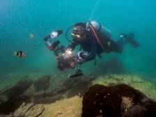 在珠海外伶仃岛“种珊瑚”，是一种怎样的体验？