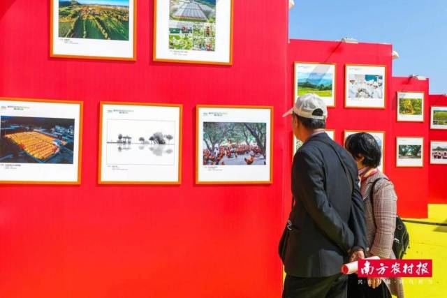 现场将以多样形式展示“清远好风土”。 现场将以多样形式展示“清远好风土”。