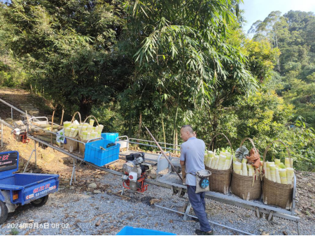 龙颈镇麻竹笋（骆坑笋）运输轨道项目将有效破解麻竹笋采收难问题。&nbsp;