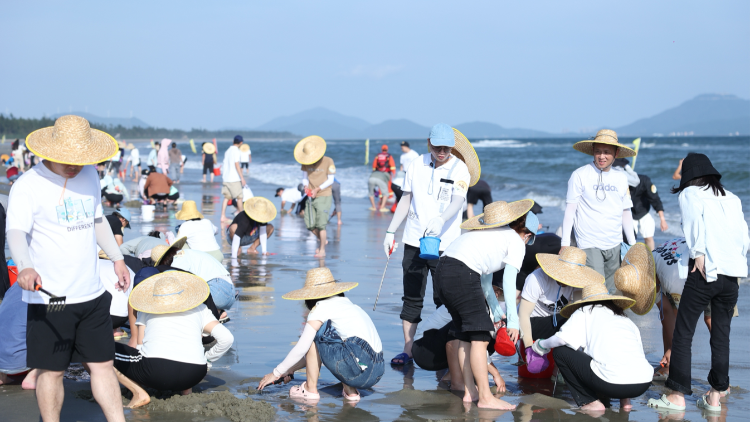 趣味趕海慶豐年 山海陽西邀您來“尋寶”