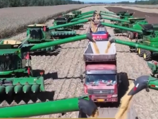 七十五载奋进强国路，“硬核”数据见证农业大国向农业强国迈进