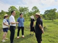 浈江犁市：“四轮驱动”为发展壮大镇域经济注入新动能