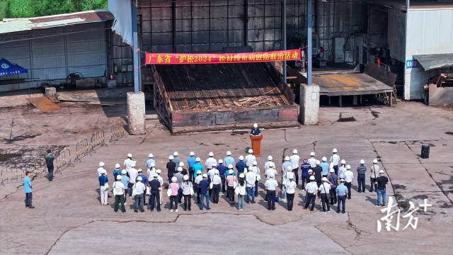 “森林卫士”重拳出击!广东护松行动查办案件37宗