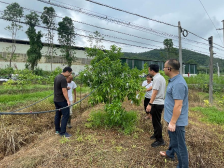 云城区南盛镇：人才驿站驱动 “一村一品” 共绘乡村振兴新篇章