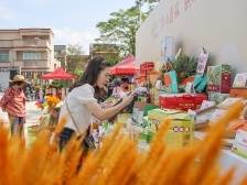 引600亿金融活水，丰收节中山送上“兴农大礼包”