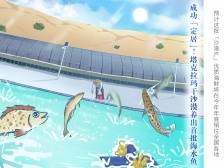 “1TB海鲜胃已就位！”沙漠养出海水鱼 | 新鲜“时”景画