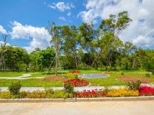 罗定市罗平镇：三个强化推进党建引领乡村绿化