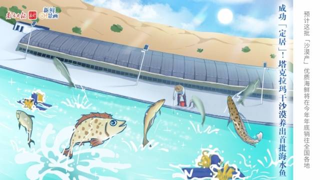 “1TB海鲜胃已就位！”沙漠养出海水鱼 | 新鲜“时”景画