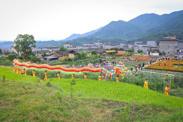 在舞布龙行动中，村落夷易近们默契配合，布龙时而凌空跃起，时而低身盘旋，不雅众们的欢呼声、掌声与铜锣声交织在一起，组成为了一首入耳心弦的他乡交响乐。