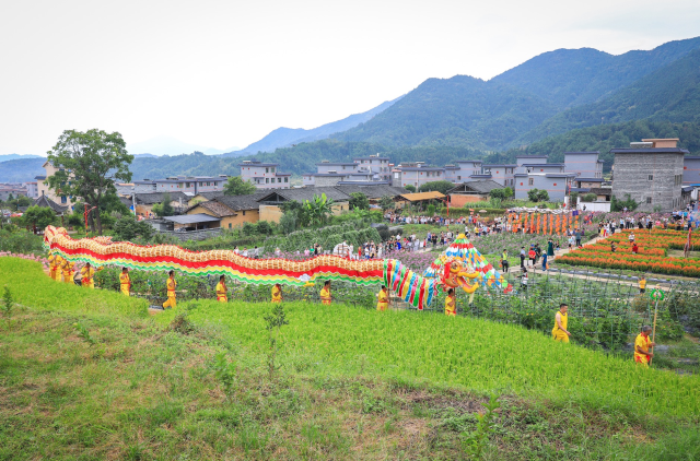 舞布龍活動現(xiàn)場。