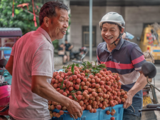 茂名：农业更强 农民更富 农村更美——写在第七个中国农民丰收节之际