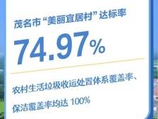 小庭院装扮“大乡村”，宜居宜业日子甜｜数说“丰”采