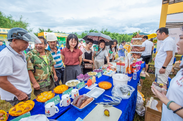 廣寧番薯產(chǎn)品琳瑯滿目,。江先梅攝