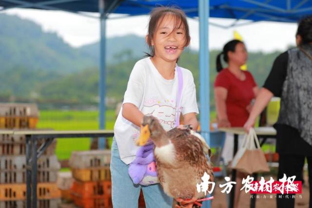 在趣味游戏中套中鸭子的小女孩。 