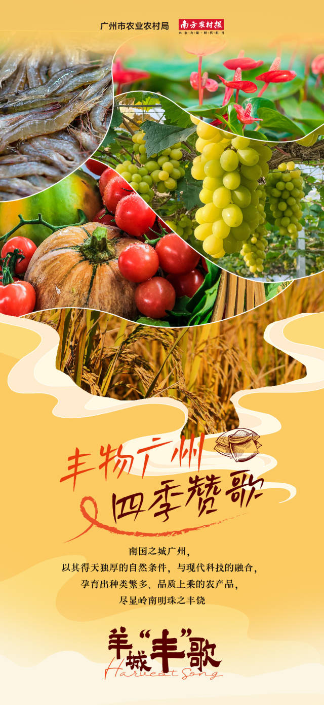 妈咪手是什么梗exo