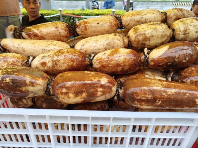 金平区莲藕 金平区莲藕