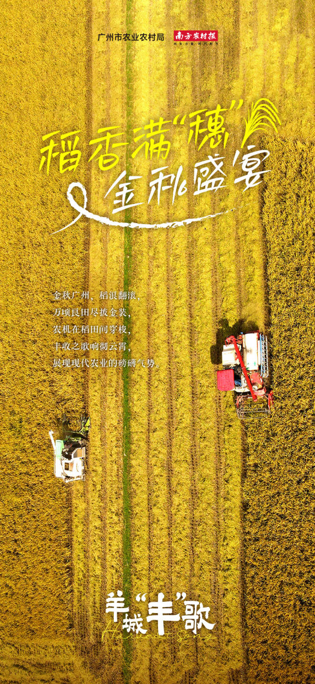 创指高开高走收涨1.44% 通信设备板块领涨