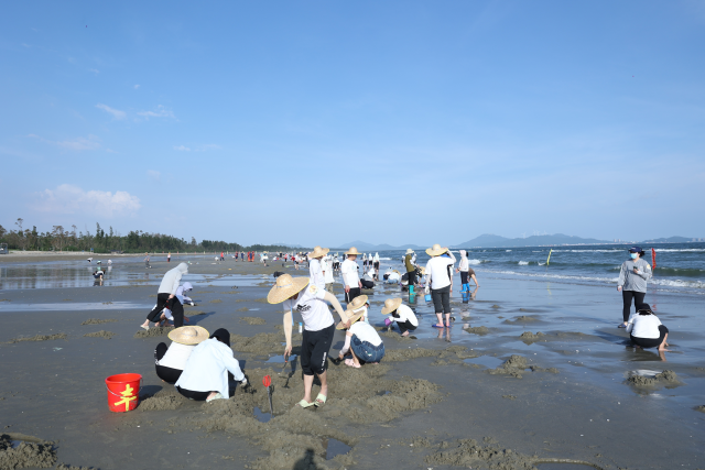 在阳西县溪头镇蓝袍湾，一场“赶海大赛”正如火如荼开展。