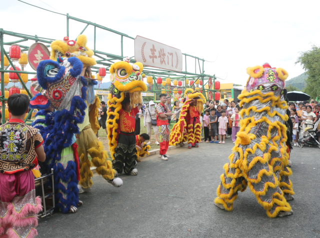 舞獅表演,。林志兵 攝