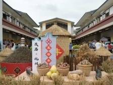 视频｜今年广东丰收节主会场，都有哪些特色农产品？