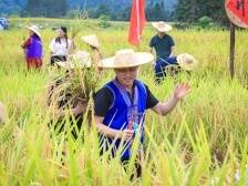 学用“千万工程” 礼赞丰收中国！一线直击广东各地庆丰收盛况