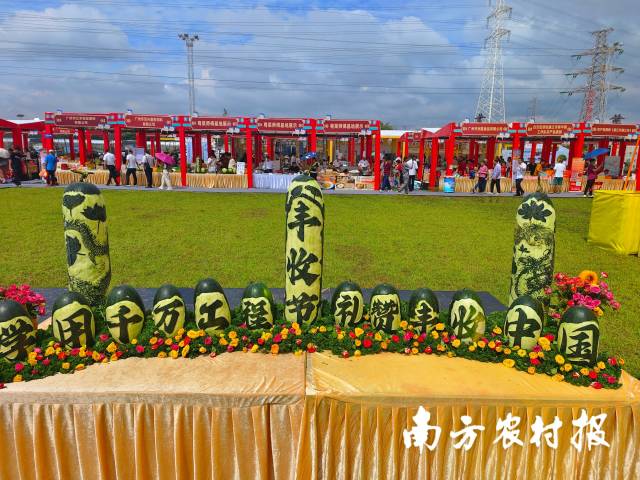 近年来，广州“三农”事业连年实现大丰收。