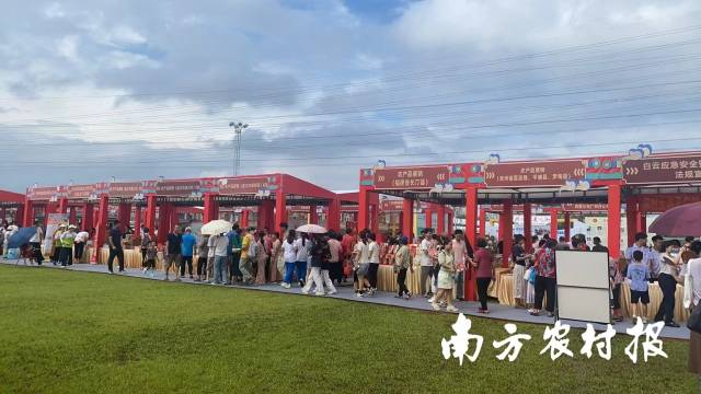 活动现场各展位人流如织。