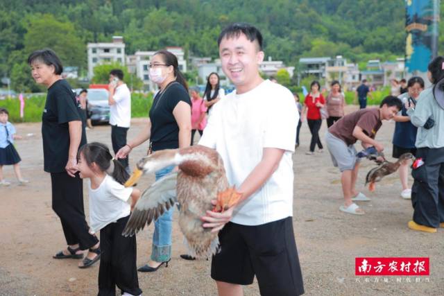 南方村落子报 陈静 拍摄