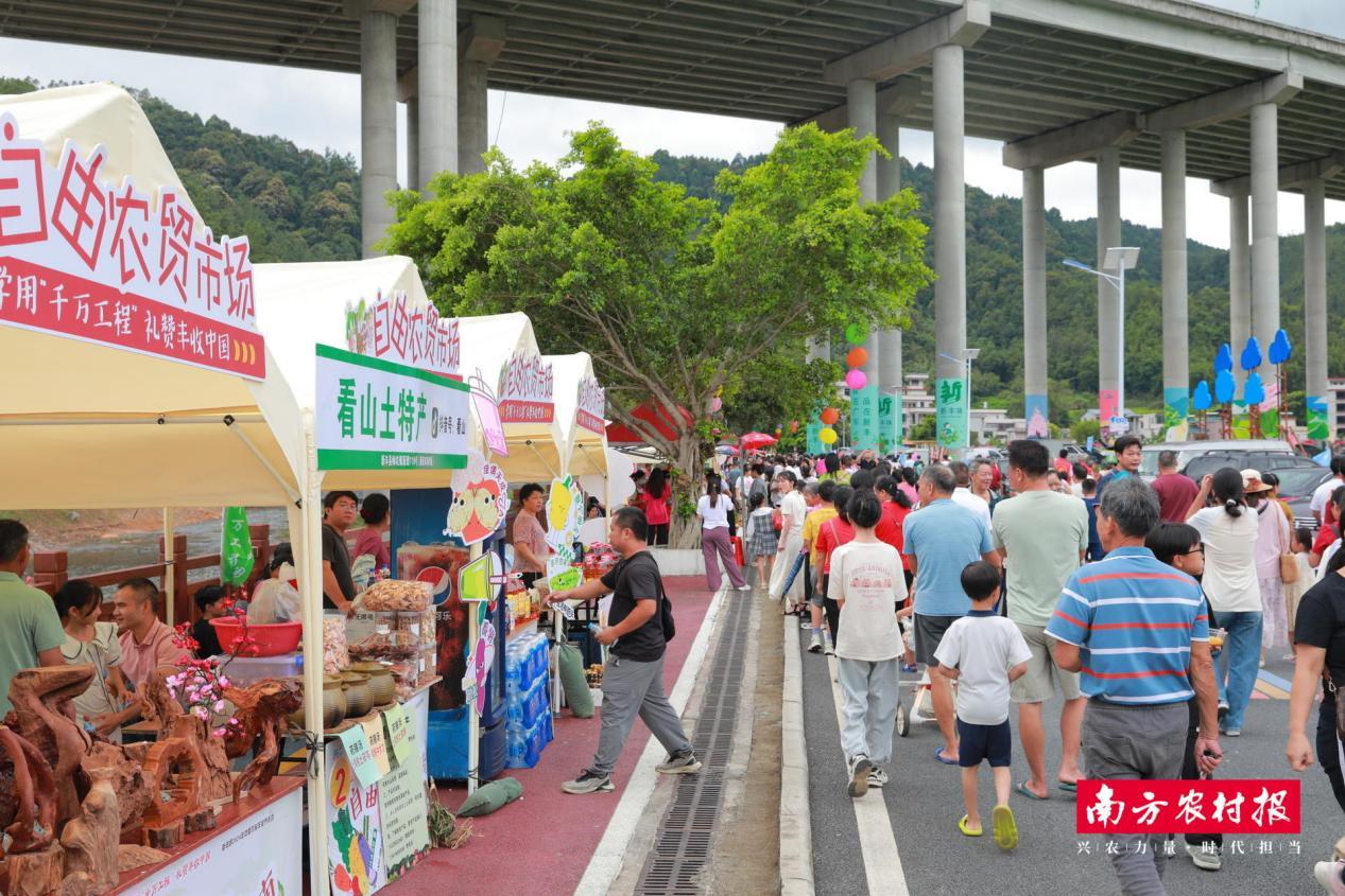 南方村落子报 陈静 拍摄