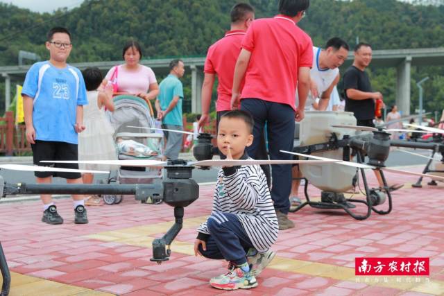 南方农村报 陈静 拍摄