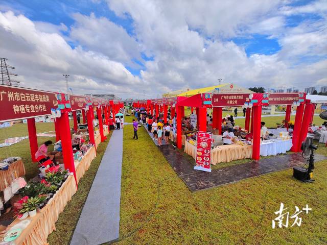广州市庆祝2024中国农民丰收节系列活动在白云区启动。