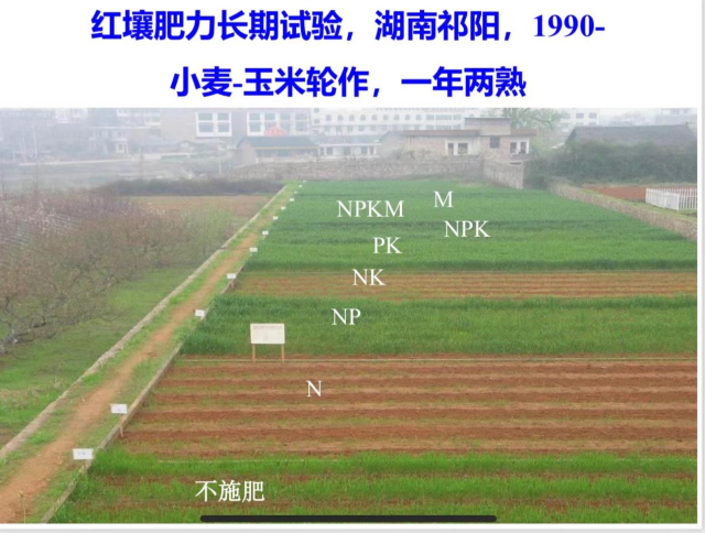 湖南祁阳，红壤肥力监测长期试验田。