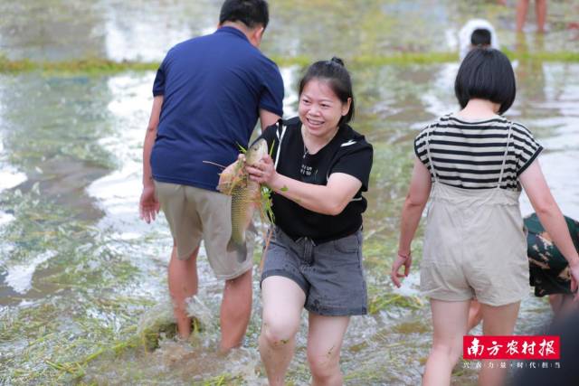 南方农村报 陈静 拍摄