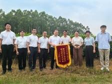 台山这面锦旗，是“百香果味”的