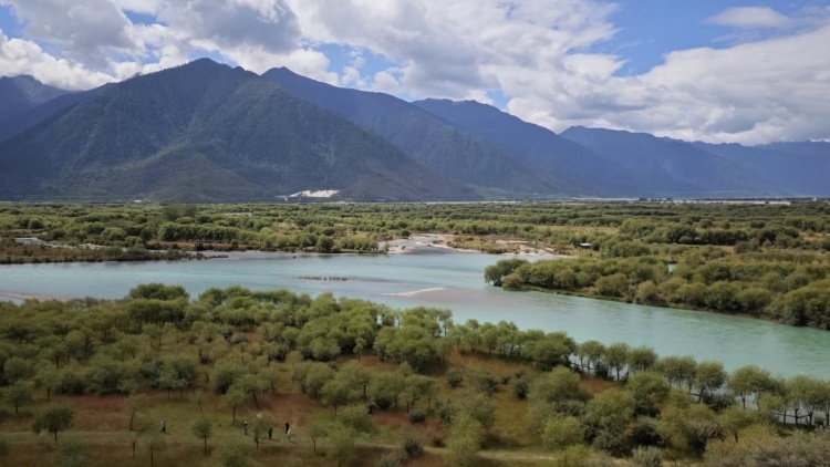 雪域高原上的广东情