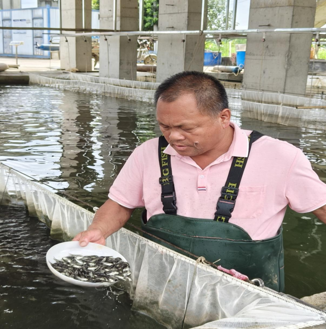 耕耘水产近40载，广州乡土专家育出“致富鲫”