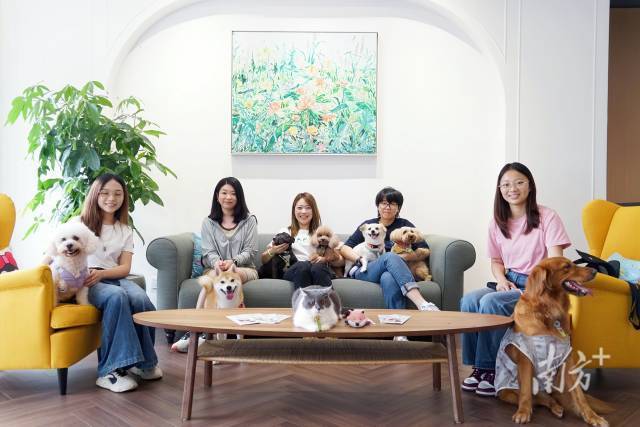 客傳品牌管理有限公司的寵物員工們。張艷青 攝