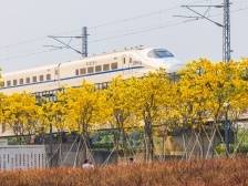 解码佛山人才功夫⑤｜青年与城：“圈粉”95后的全国引力值