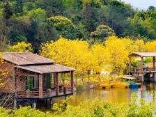 终于知道了！网友最想打卡的“粤式新潮流”是这些