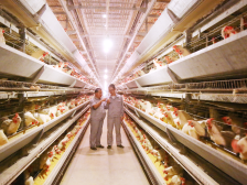 一枚蛋的自述：我们这样走红大湾区｜江门优品⑥