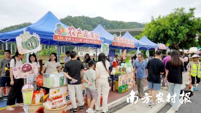 党建引领新丰县全面推进乡村振兴成效显著。